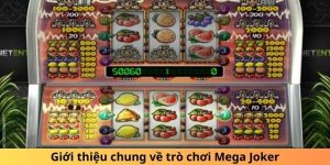 Giới thiệu chung về trò chơi Mega Joker